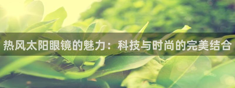 新宝5代理