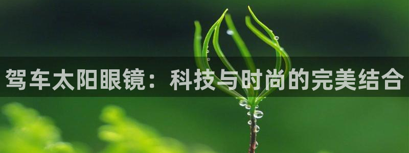 新宝娱乐5