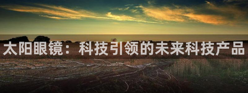 新宝5官方下载地址