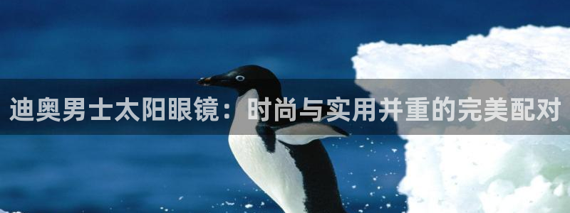 新宝5官方下载地址