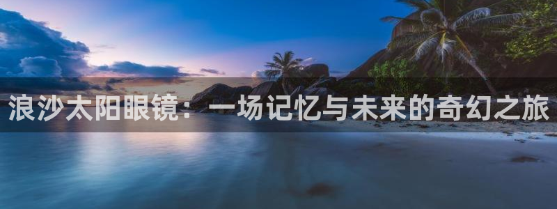 新宝5公司