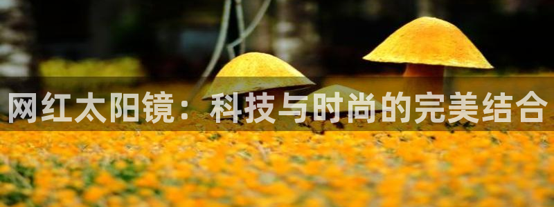 新宝5官网平台