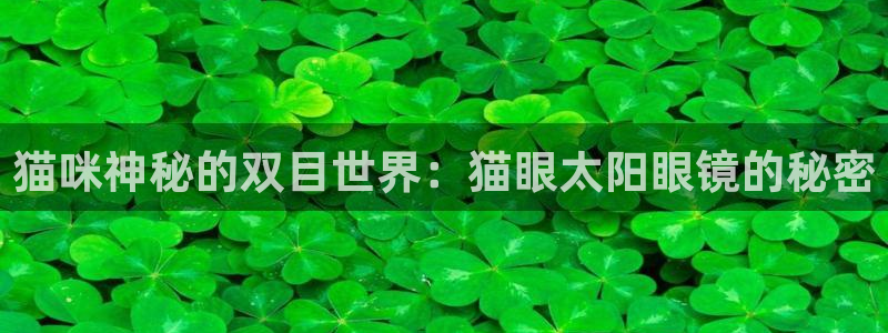 新宝那2O5O5O