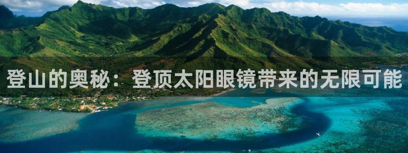 新宝5招商部