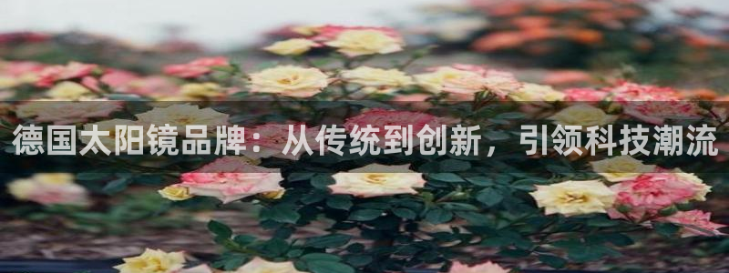 新5宝