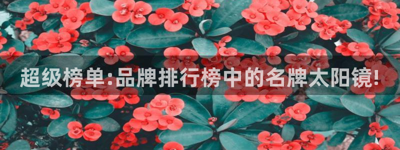 新宝5手机下载
