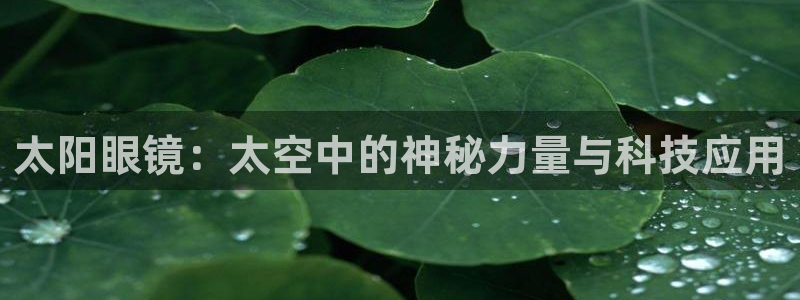 新宝5登陆地址