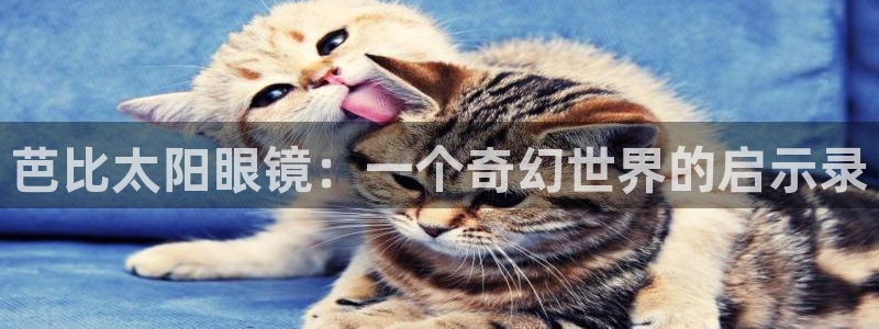 新宝5娱乐都
