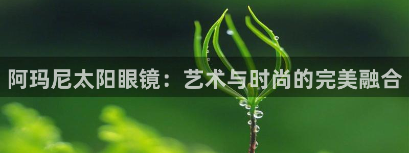 新宝5下载官方