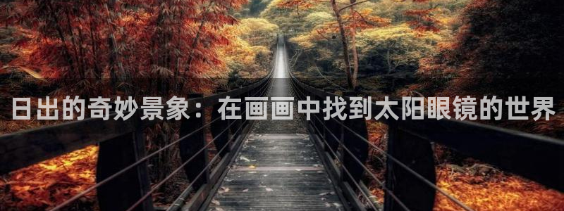 新宝b2O5O5O