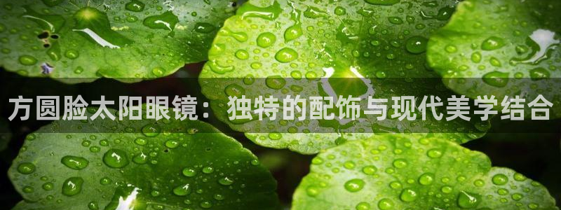新宝股东瞧听2 5 5