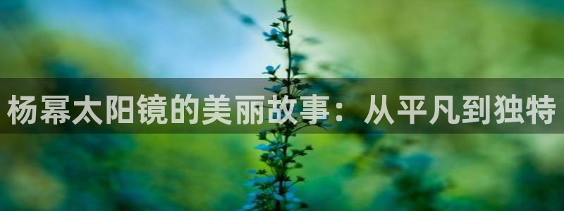 新宝5挂机软件