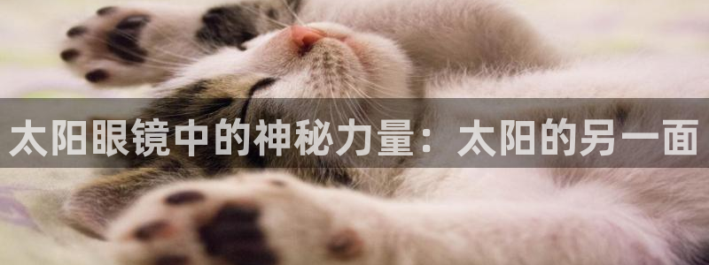 新宝5褚32OO59