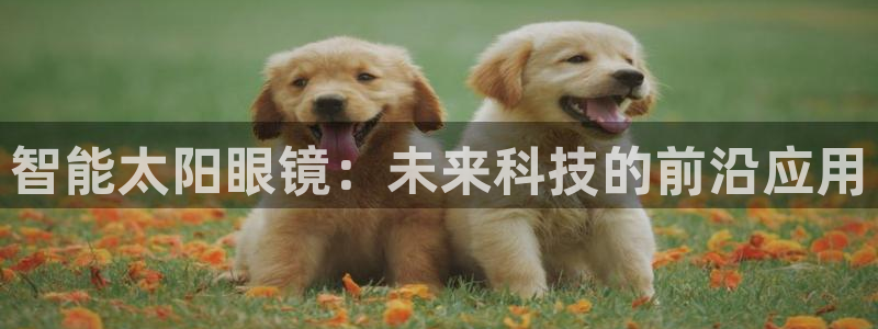新宝5公司