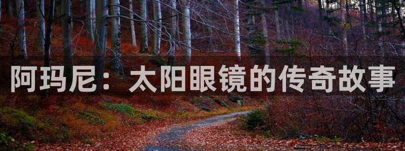 新宝5官方网站