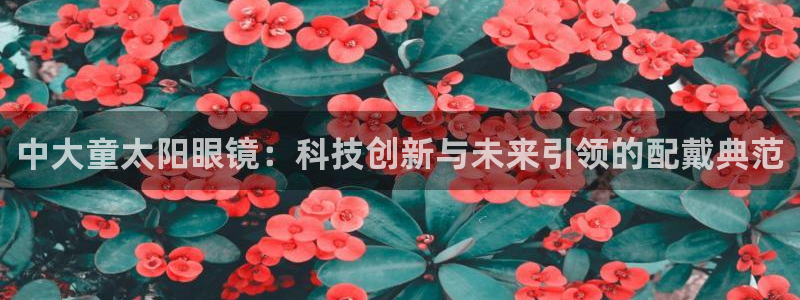 新宝5测速登陆