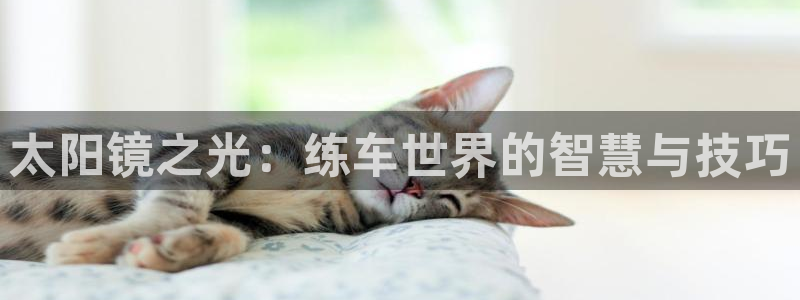 新宝5官网67五壹叁八