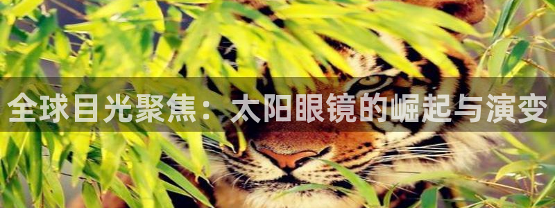 新宝5是谁的