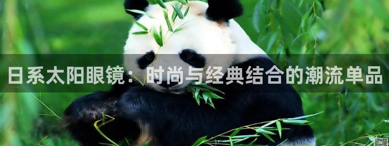 新宝5是什么样子的