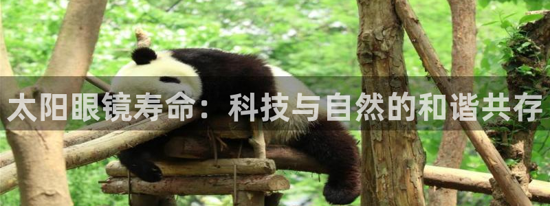 新宝5彩票娱乐平台