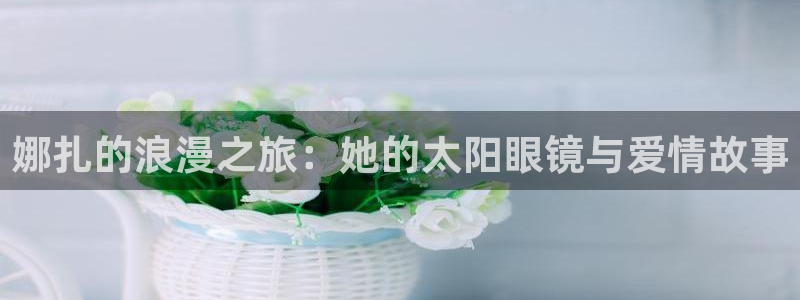 新宝5总代