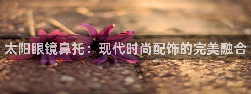 新宝股东瞧听2 5 5