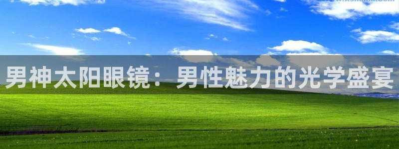 新宝5登陆地址
