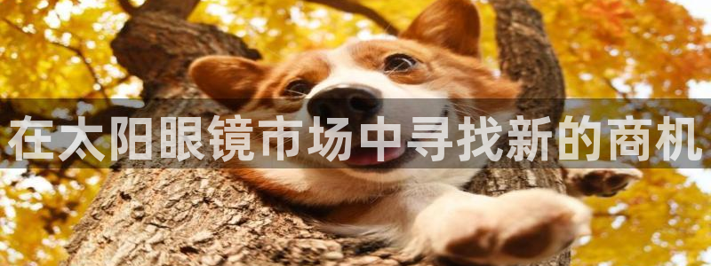 新宝5app