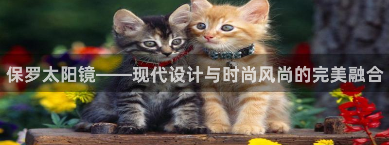 新宝5彩票是正规平台吗
