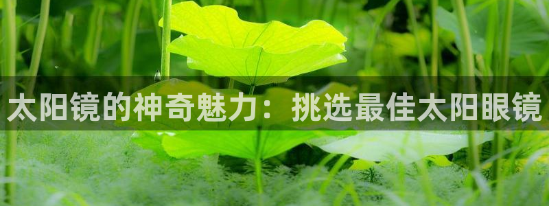 新宝5寂创33300散