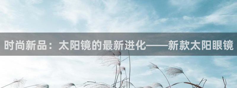 新宝股东瞧听2 5 5